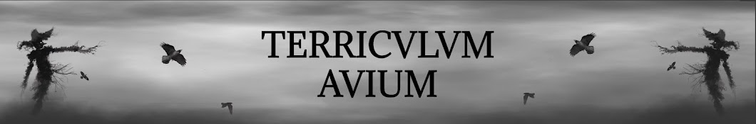 TERRICULUM AVIUM YouTube kanalı avatarı