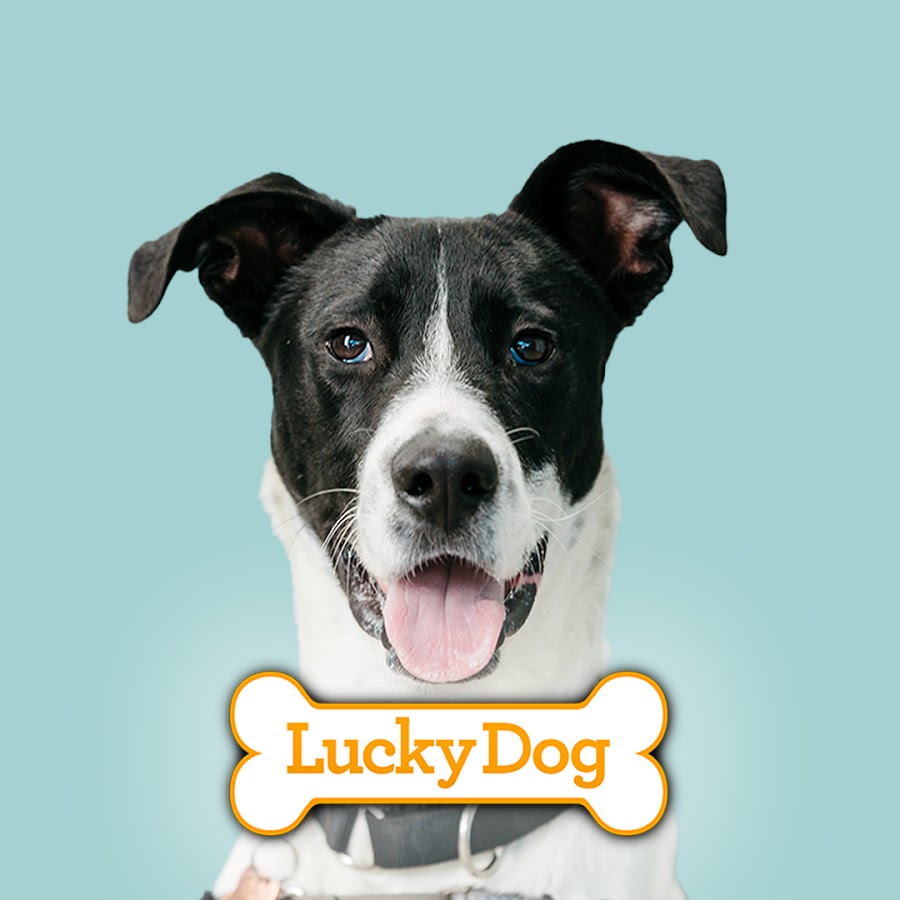Lucky Dogs Lucky Dogs