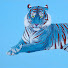 E8fkx0EYNvU-channel-avatar-Tiger
