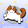 Also Into Cats