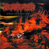 FinPantera