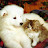 aquariana_9 Magalhães