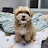 @김진황-i8v7c