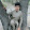 khurshid ali