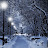 @jimmuo9286 Avatar