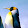 Thepenguinproscoper Penguin gaming