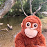 0q7oNUlFEw4-channel-avatar-The Mooching Monkey