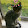 Fnaf Allicatty