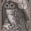 Harpier Noctem