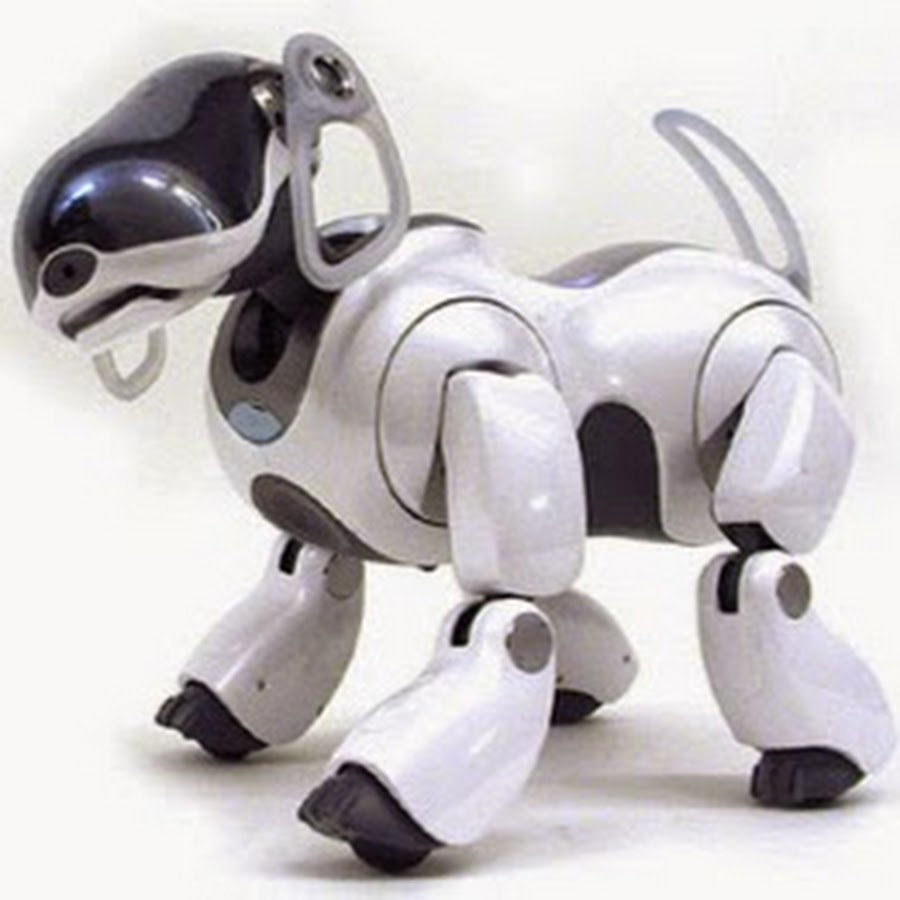 Sony Aibo Robot Dog YouTube