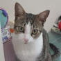 guganain99