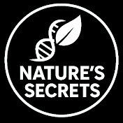 Nature's Secrets 