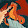 Dragon Extreme