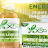 Green Tea X50