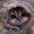 @Dxrkn3ss1 Avatar