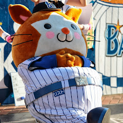 ホタ チャンネル