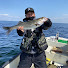 P0PO2nSNTiM-channel-avatar-FishBull