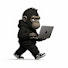 -RwxwzhMl0A-channel-avatar-Gorila Ensina YOUTUBE 