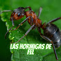 Las Hormigas de Fel logo