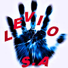 What could Levio S.A buy with $729.33 thousand?