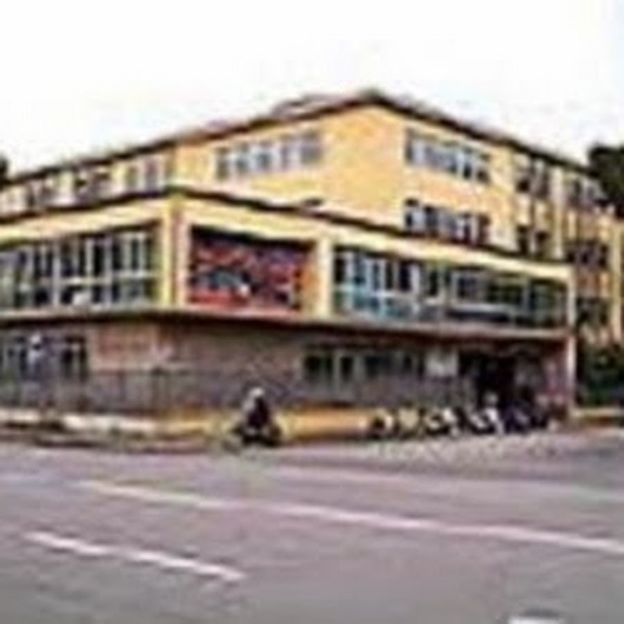 Liceo Scientifico Leonardo Da Vinci Di Firenze