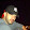 Robert Lucero