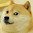 14-3 Such Doge