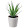 Your_House_Plant