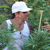 subcool420