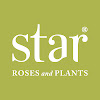 Star® Roses and Plants