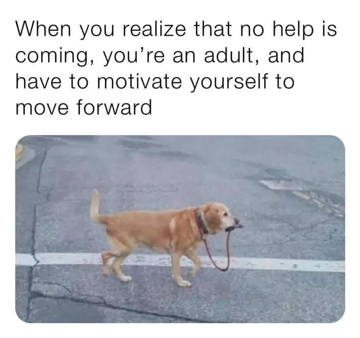 Meme from post 27550872