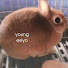 -j7BnQdPBuU-channel-avatar-영이요 eeyo