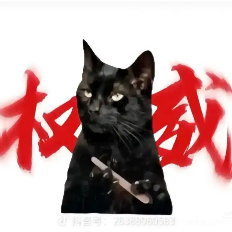 基米猫小剧场