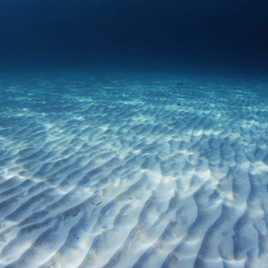 Lampuga Germany - YouTube