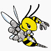 FIRST Team 836, The RoboBees