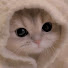 qFmMFY_XT6Q-channel-avatar-Cataclysmix