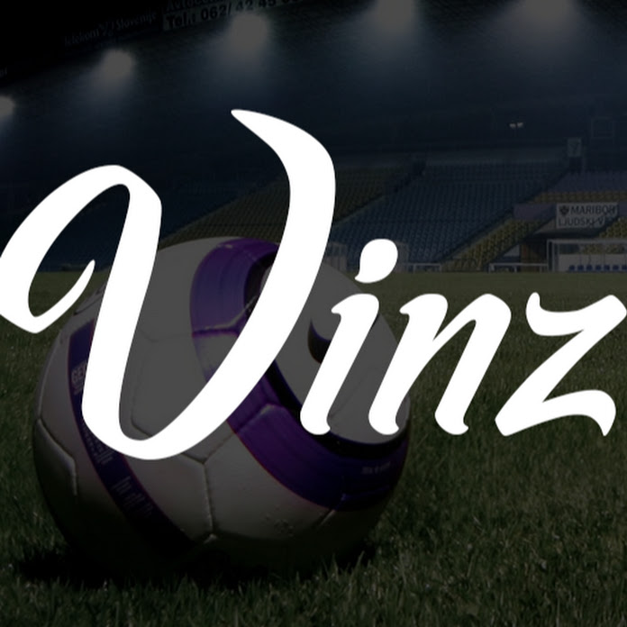 Vinz Net Worth & Earnings (2026)