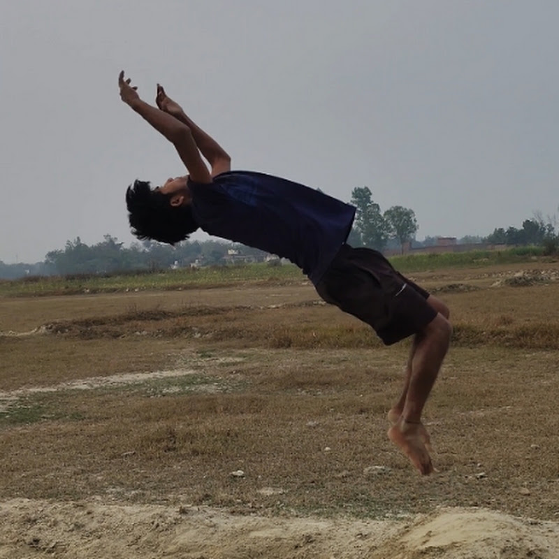 Ashwani_flipper_01