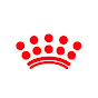 Royal Canin Sverige Youtube video kanalı Profil Fotoğrafı Royal Canin Sverige Youtube video kanalı Profil Fotoğrafı