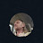 @cnewhall8171 Avatar
