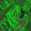 DuomoProject