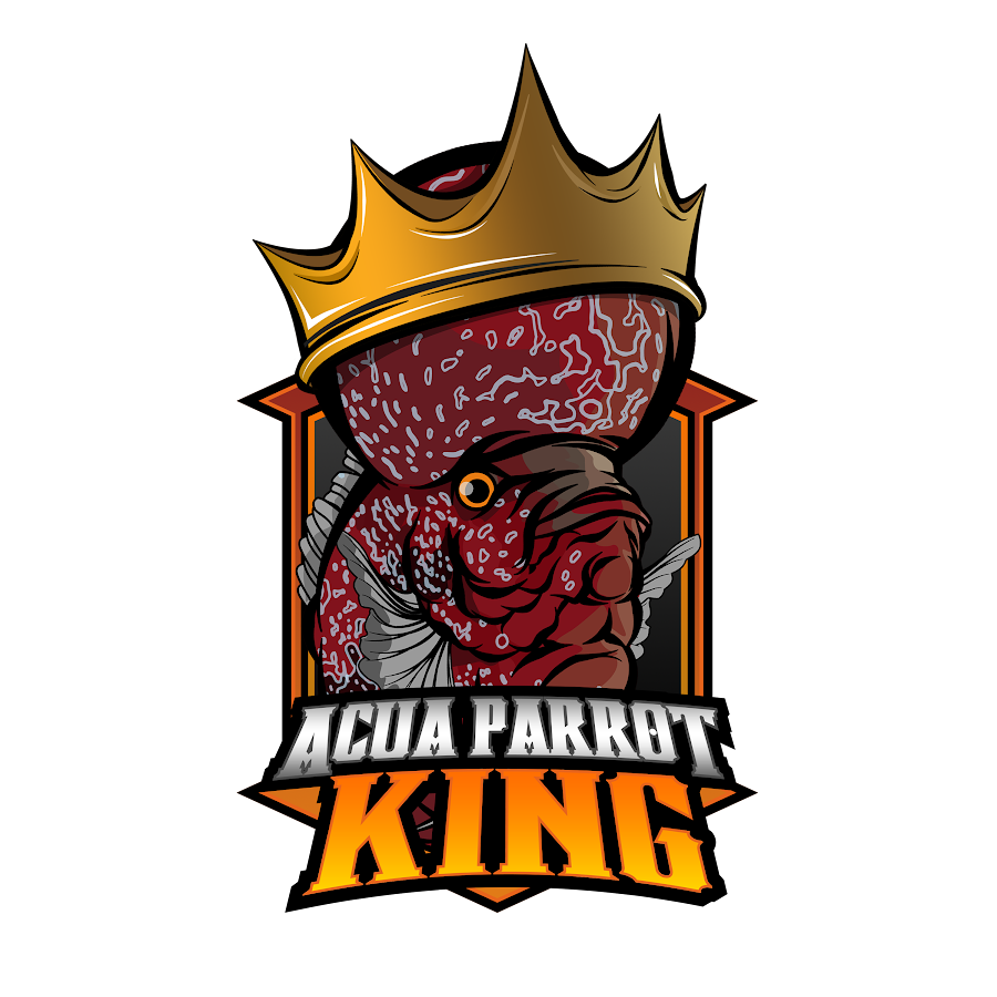 ACUA PARROT KING YouTube