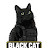@blackCATCODM27