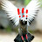 disturbedpigeon