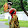Setia Seni Tradisional Indonesia