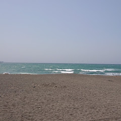 色トンカツ