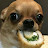 desperate housewives fanpage