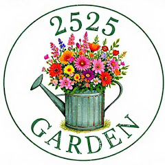 60代夫婦れんげとたんぽぽの2525ガーデニング vlogアイコン画像