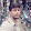 jamshed Jani