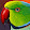 Blooming Birds